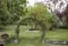 875 Arthurs Creek Road, Arthurs Creek, Vic 3099-Image