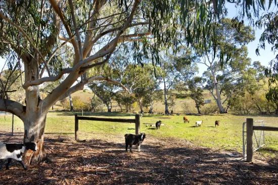 8763 Midland Highway, Barkers Creek, Vic 3451-Image
