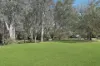 8791 Lachlan Valley Way, Forbes, NSW 2871-Image