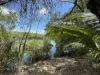 87d Apsley Way, Andergrove, Qld 4740-Image