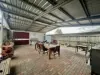 88 Beale Street, Oakey, Qld 4401-Image