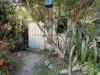 88 Capes Road, Lakes Entrance, Vic 3909-Image