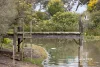 88 Dunns Road, Mount Martha, Vic 3934-Image