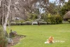 88 Dunns Road, Mount Martha, Vic 3934-Image