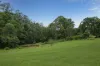 88 Gleniffer Road, Bellingen, NSW 2454-Image