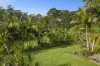 88 Gleniffer Road, Bellingen, NSW 2454-Image