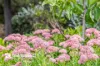 88 Gorman Road, Goulburn, NSW 2580-Image