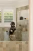 88 Kenna Street, Aspley, Qld 4034-Image