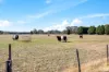 88 Kennedys Road, Sulky, Vic 3352-Image