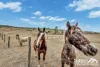 88 Mandersons Road, McIlwraith, Qld 4671-Image