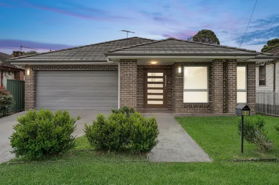 88 McClelland Street, Chester Hill, NSW 2162