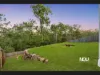 88 Roberts Crescent, Bellbird Park, Qld 4300-Image