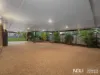 88 Rumsey Drive, Raceview, Qld 4305-Image
