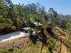 88 The Panorama, Tallai, Qld 4213-Image
