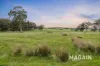 88 Woodgate Hill Road, Kyeema, SA 5172-Image