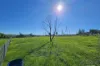 8849 - 888 Golden Highway, Cassilis, NSW 2329-Image