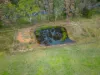 885 Forge Creek Road, Forge Creek, Vic 3875-Image