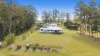 887 Cooloolabin Road, Cooloolabin, Qld 4560-Image