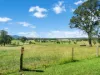 887 Upper Lansdowne Road, Upper Lansdowne, NSW 2430-Image