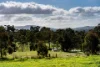 89-91 Wright Street, Elphinstone, Vic 3448-Image