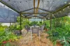 89 Bergin Road, Cranbrook, Qld 4814-Image