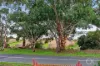 89 Captain Sturt Parade, Hindmarsh Island, SA 5214-Image