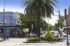89 Cardigan Street, Stanmore, NSW 2048-Image
