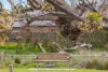 89 Edenhope Circuit, Armstrong Creek, Vic 3217-Image