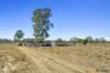 89 Hughes Road, Alton Downs, Qld 4702-Image