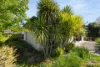 89 Langtree Crescent, Crace, ACT 2911-Image