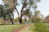 89  Maitland Street, Hackett, ACT 2602-Image