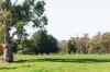 89  Maitland Street, Hackett, ACT 2602-Image