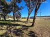 895 Polhill Road, Wellingrove, NSW 2370-Image