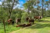 895B, East Kurrajong NSW 2758-Image