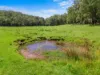 895B, East Kurrajong NSW 2758-Image