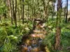 895B, East Kurrajong NSW 2758-Image