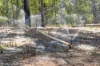 896 Murphys Creek Road, Murphys Creek, Qld 4352-Image