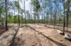 896 Murphys Creek Road, Murphys Creek, Qld 4352-Image