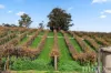 8985 Sturt Highway, Paisley, SA 5357-Image