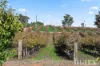 8985 Sturt Highway, Paisley, SA 5357-Image