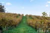 8989 Sturt Highway, Paisley, SA 5357-Image