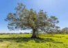 89B Factory Road, Mitchells Island, NSW 2430-Image