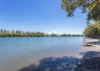 89B Factory Road, Mitchells Island, NSW 2430-Image