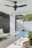8A Barney Street, Mount Hawthorn, WA 6016-Image