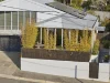8A Leslie Place, South Launceston, Tas 7249-Image