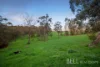 8A Maurice Road, Gruyere, Vic 3770-Image