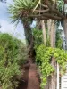8A Narla Road, Swanbourne, WA 6010-Image