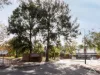 8A Narla Road, Swanbourne, WA 6010-Image