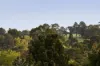 8B Armstrong Street, Mount Waverley, Vic 3149-Image