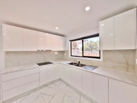 8b Bareena St, Canley Vale, NSW 2166